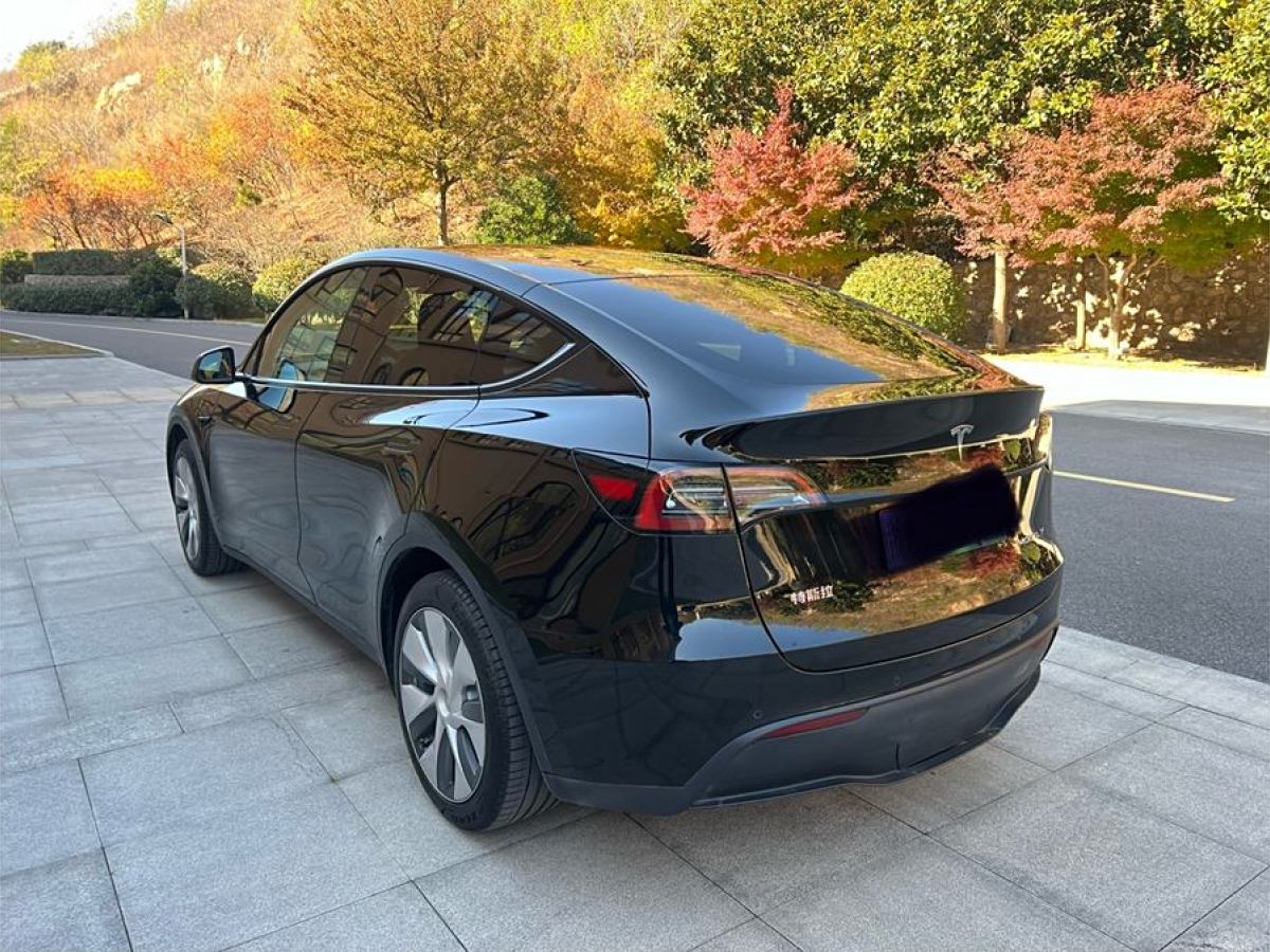 特斯拉 Model 3  2020款 改款 長續(xù)航后輪驅(qū)動版圖片