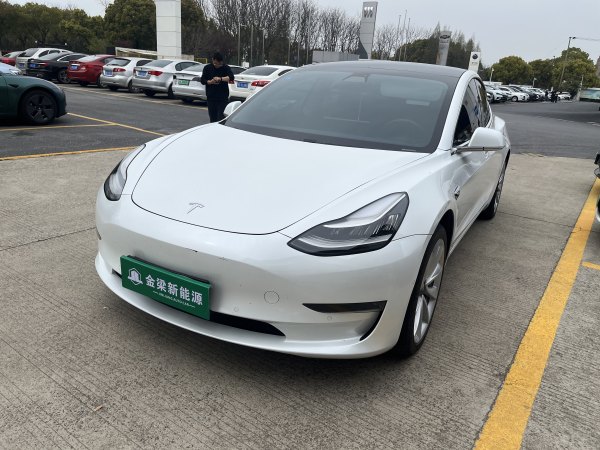 特斯拉 Model 3  2019款 长续航全轮驱动版