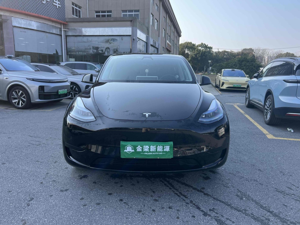 特斯拉 Model 3  2020款 改款 長續(xù)航后輪驅(qū)動(dòng)版圖片