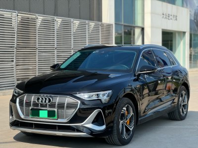 2023年11月 奥迪 奥迪e-tron 50 quattro 臻选型图片