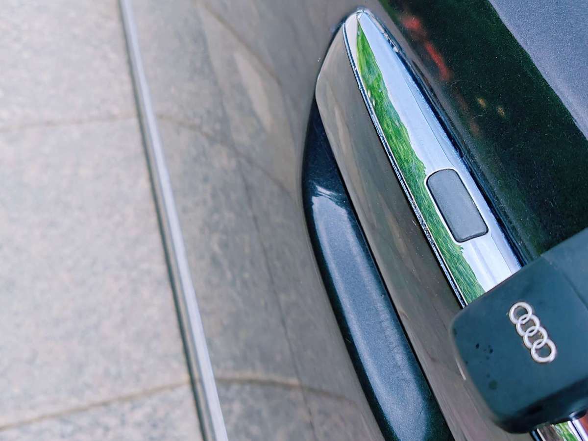 奧迪 奧迪A8  2009款 A8L 2.8 FSI 標(biāo)準(zhǔn)型圖片