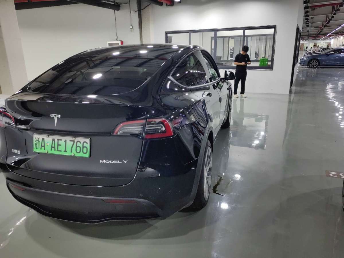 特斯拉 Model Y  2021款 標(biāo)準(zhǔn)續(xù)航后驅(qū)升級版 3D6圖片