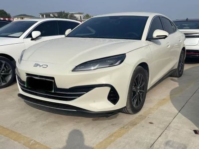 2024年8月 比亞迪 海豹06 DM-i DM-i 80KM尊貴型圖片