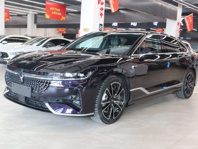 2024年3月 嵐圖 嵐圖追光 PHEV 四驅(qū)超長(zhǎng)續(xù)航旗艦版圖片