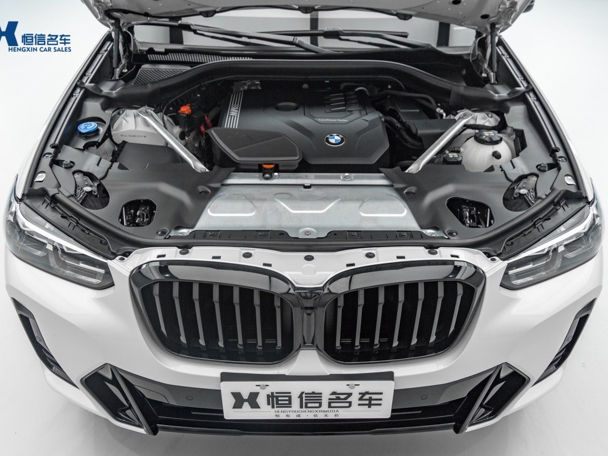 寶馬 寶馬X3  2022款 xDrive30i 領(lǐng)先型 M曜夜套裝圖片