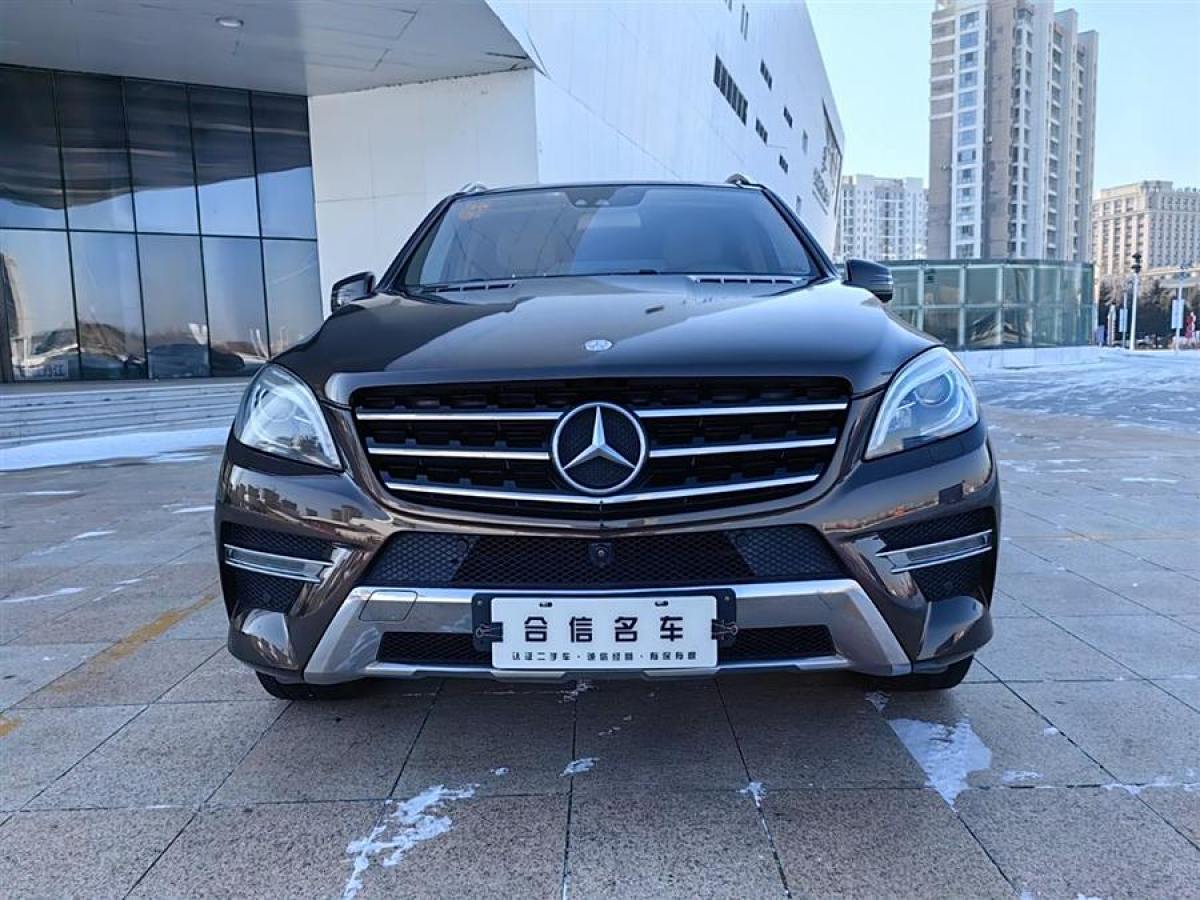 奔馳 奔馳M級  2012款 ML 350 豪華型圖片