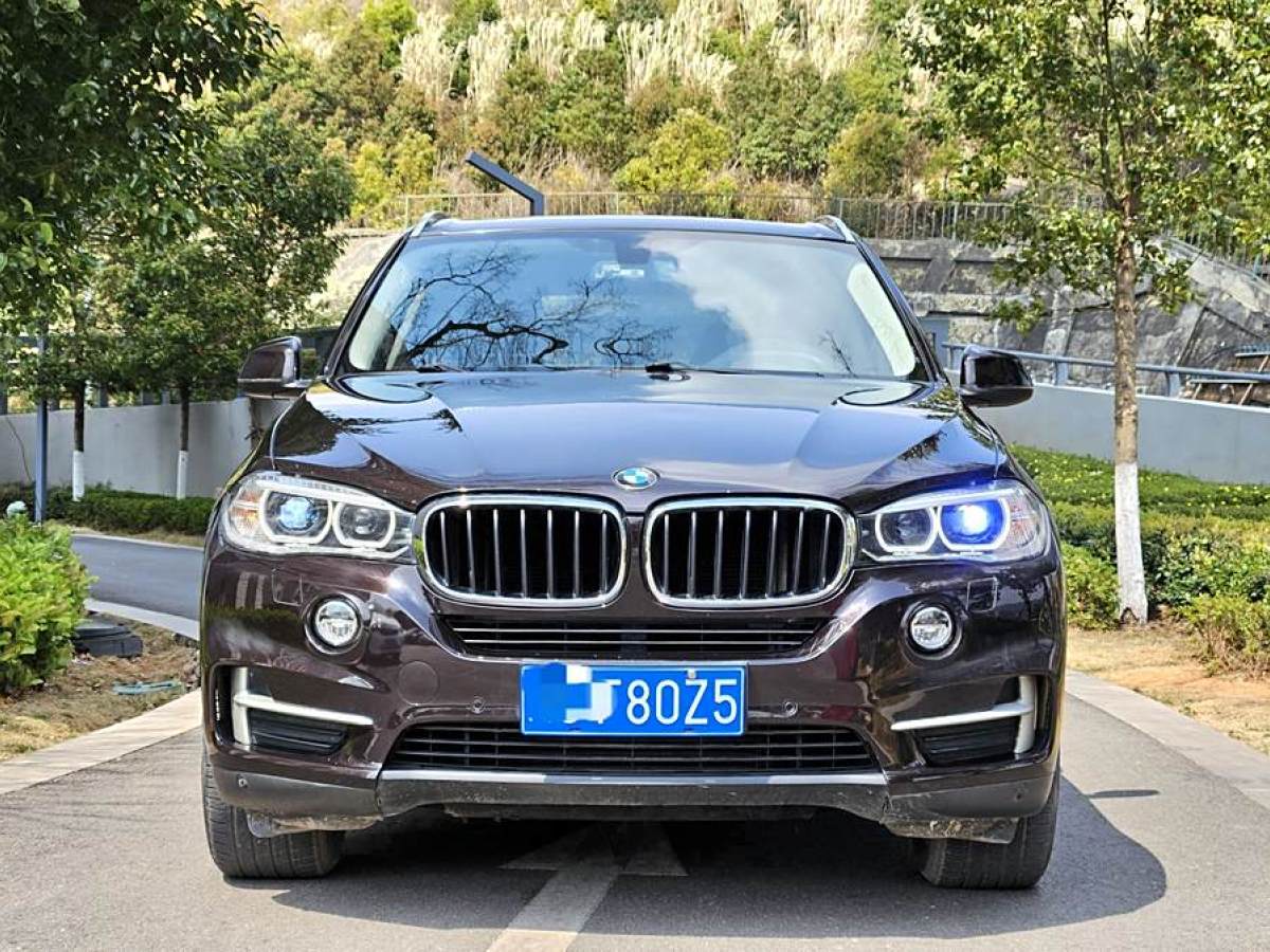 寶馬 寶馬X5  2014款 xDrive35i 典雅型圖片