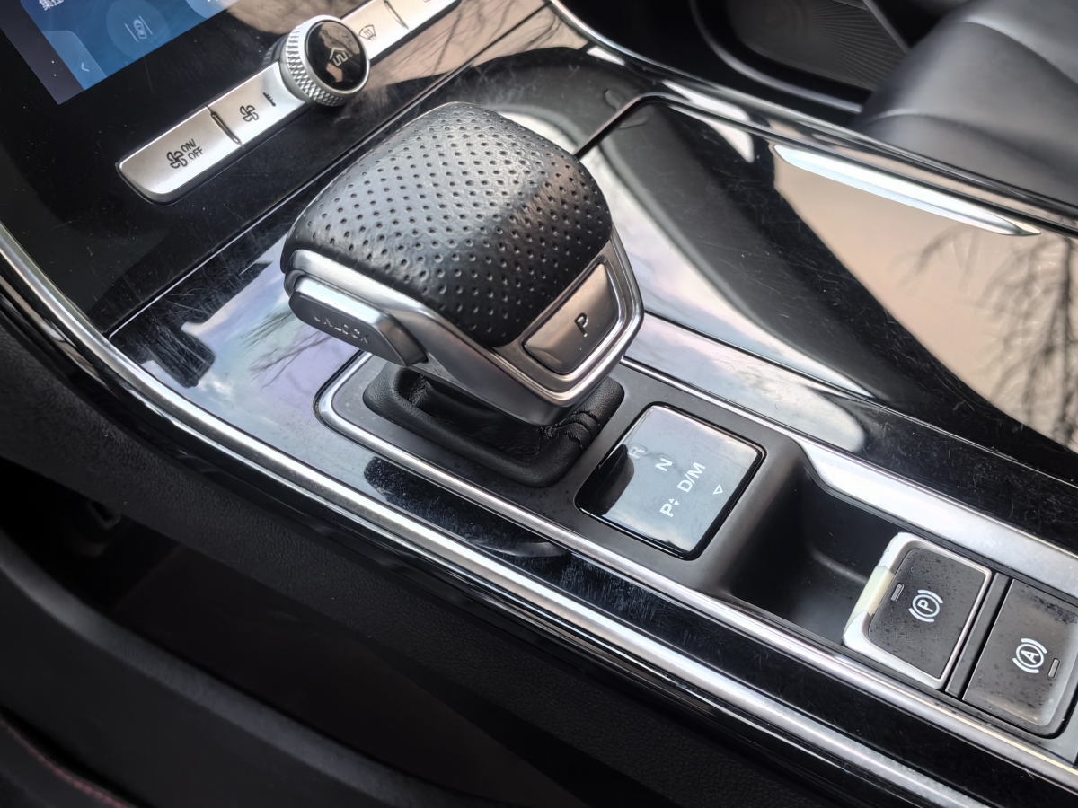 荣威 RX5 MAX  2019款 300TGI 自动智能座舱旗舰版图片