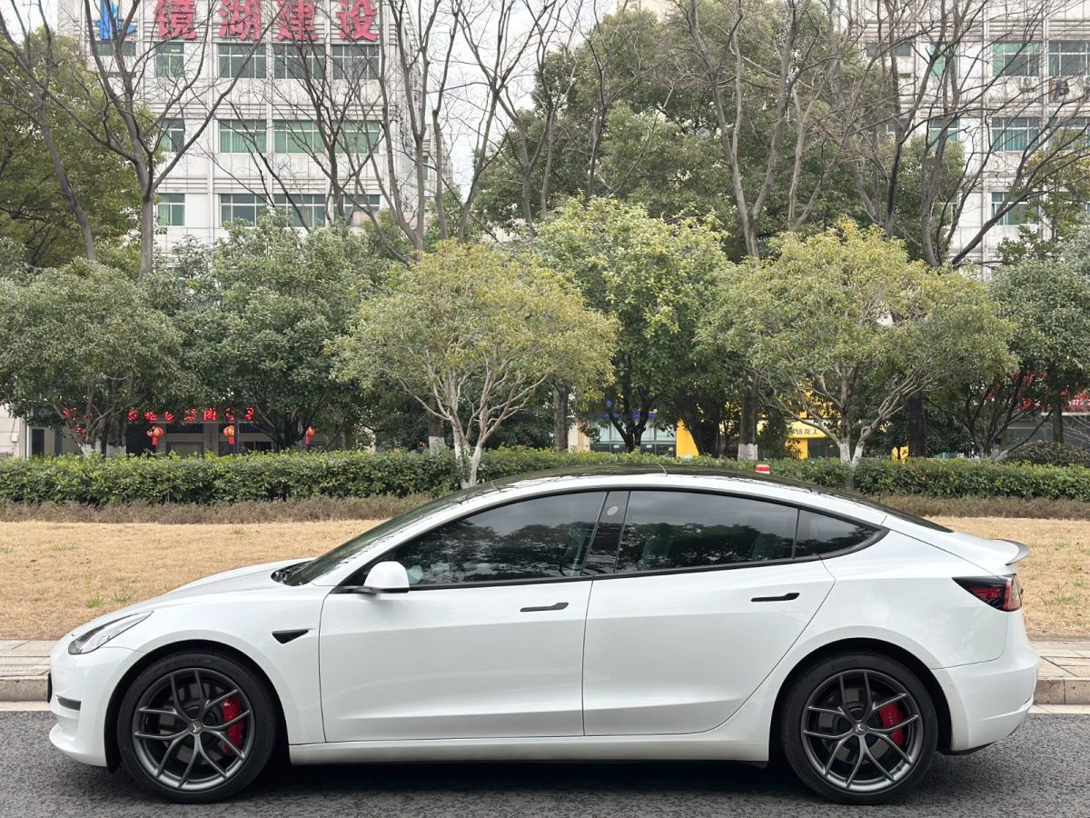 2021年7月特斯拉 Model 3  2021款 Performance高性能全輪驅(qū)動版