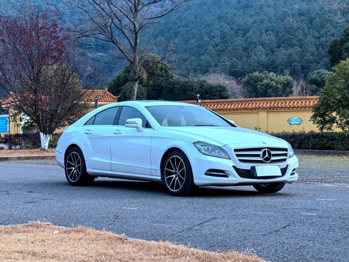 奔馳CLS級 2012款 CLS 300 CGI圖片