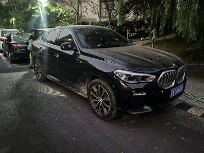 2020年7月 宝马 宝马X6(进口) xDrive40i M运动套装图片