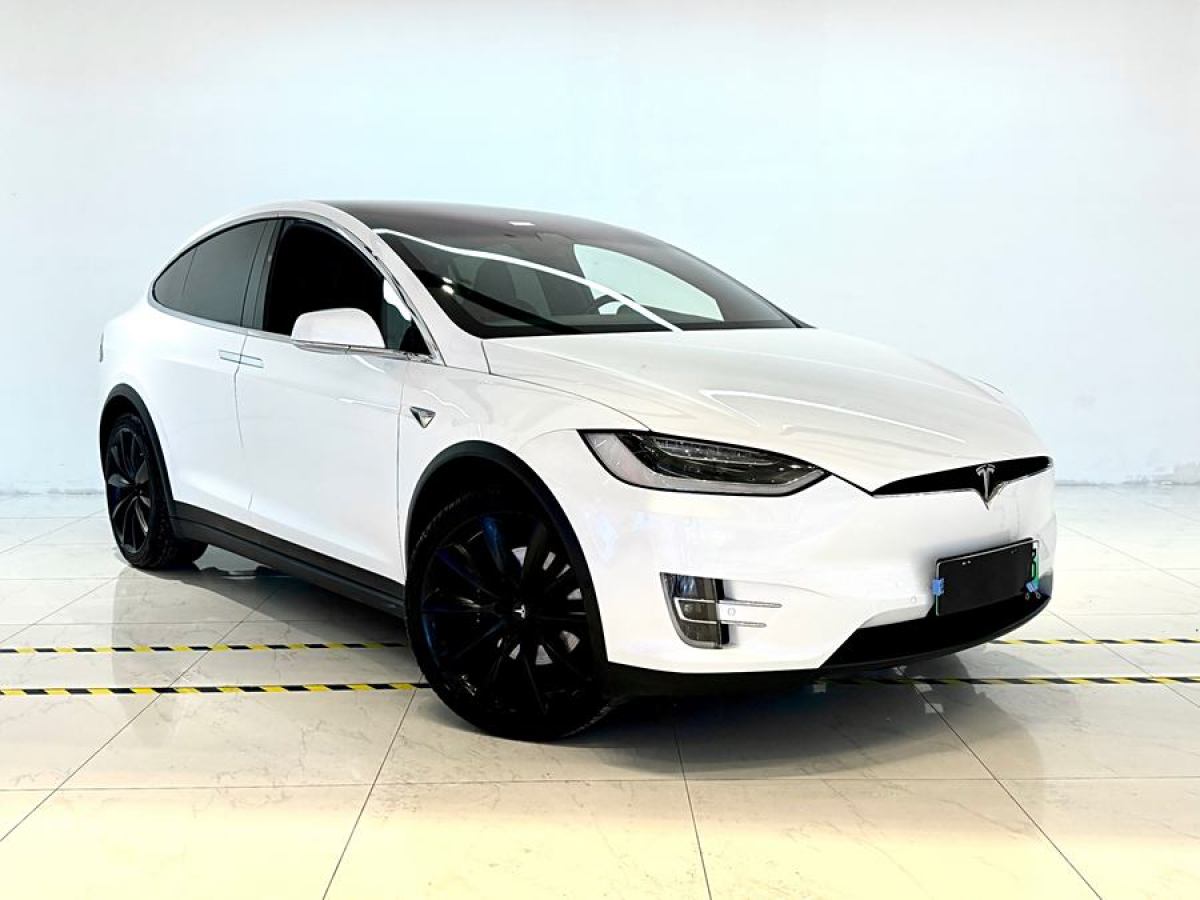 特斯拉 Model X  2016款 Model X 75D圖片