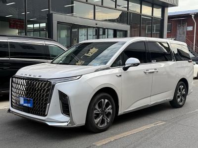 2022年9月 上汽大通 上汽大通MAXUS G90 2.0T 星河七座版圖片