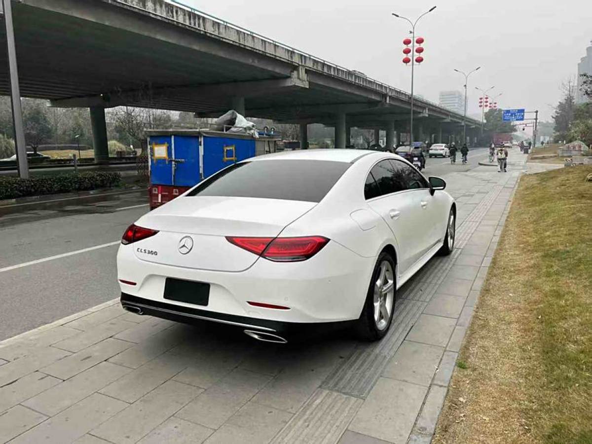 奔馳 奔馳CLS級(jí)  2018款 CLS 300 動(dòng)感型圖片