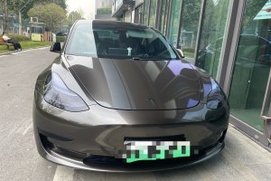 Model 3 特斯拉 标准续航后驱升级版