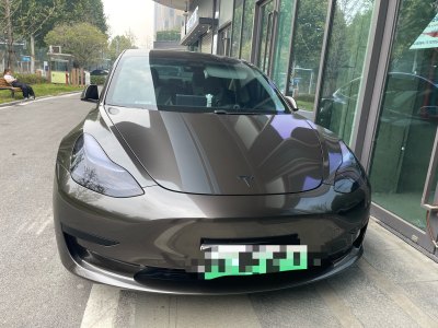 2021年2月 特斯拉 Model 3 標準續(xù)航后驅(qū)升級版圖片