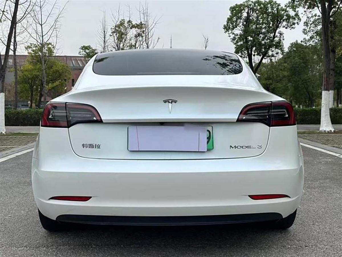 特斯拉 Model 3  2021款 標(biāo)準(zhǔn)續(xù)航后驅(qū)升級版 3D6圖片