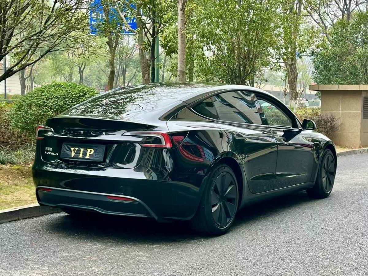 特斯拉 Model S  2023款 三電機(jī)全輪驅(qū)動 Plaid版圖片