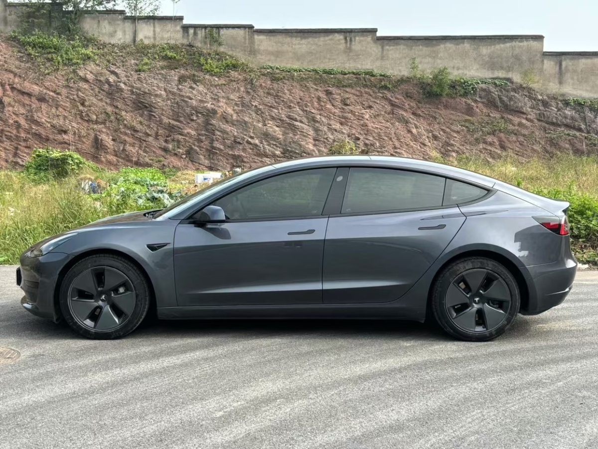 特斯拉 Model 3  2019款 標(biāo)準(zhǔn)續(xù)航后驅(qū)升級(jí)版圖片