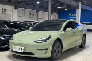 Model Y 特斯拉 改款 长续航后轮驱动版