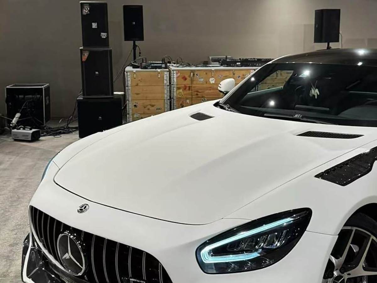 奔馳 奔馳AMG GT  2019款 AMG GT圖片