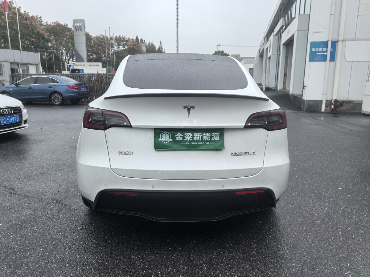 特斯拉 Model Y  2022款 Performance高性能全輪驅(qū)動版圖片