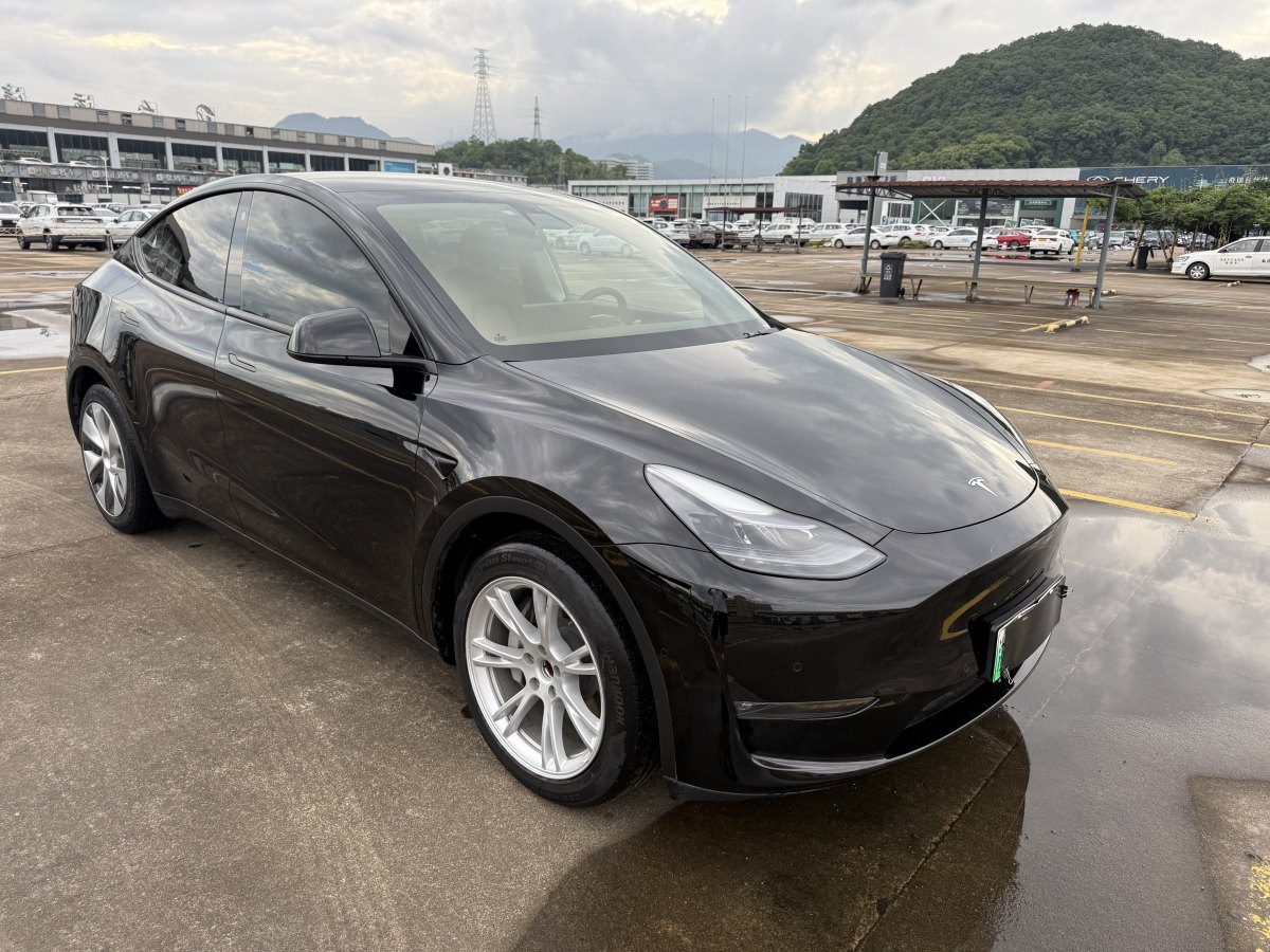 特斯拉 Model Y  2021款 標(biāo)準(zhǔn)續(xù)航后驅(qū)版圖片