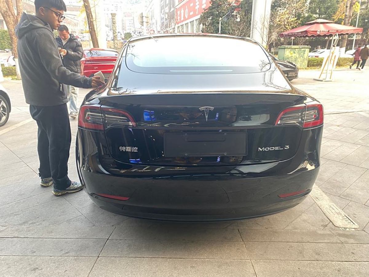 特斯拉 Model 3  2021款 標準續(xù)航后驅(qū)升級版 3D6圖片