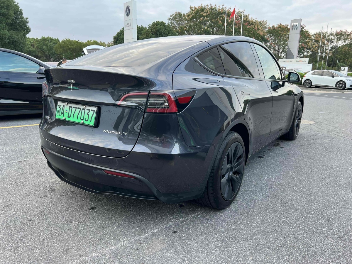 特斯拉 Model Y  2020款 改款 長(zhǎng)續(xù)航后輪驅(qū)動(dòng)版圖片