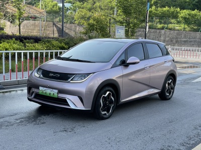 2022年7月 比亞迪 海豚 405km 時尚版圖片