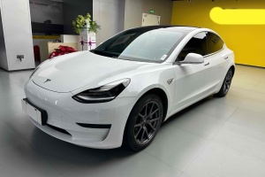 Model 3 特斯拉 标准续航后驱升级版