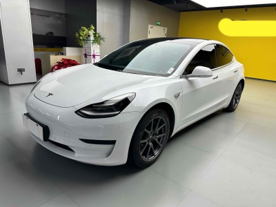 2020年7月 特斯拉 Model 3 标准续航后驱升级版图片