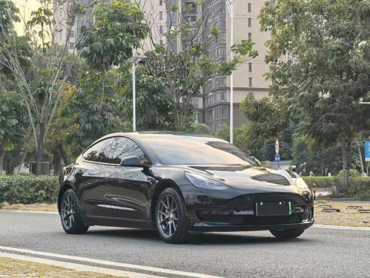 特斯拉 Model Y  2021款 標準續(xù)航后驅(qū)版圖片