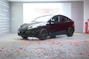 Model Y 特斯拉 長(zhǎng)續(xù)航全輪驅(qū)動(dòng)版