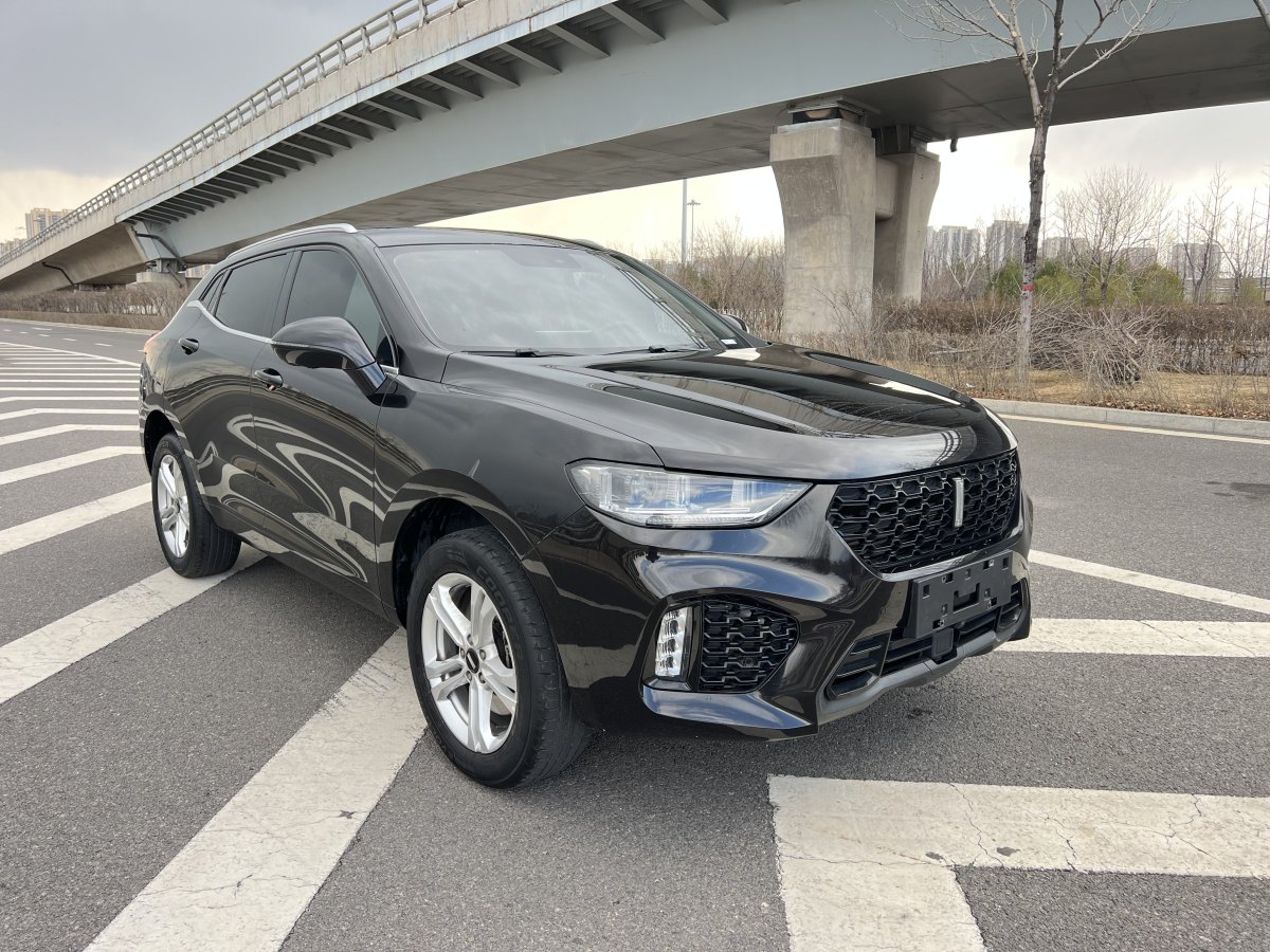 WEY VV5  2019款  1.5T 兩驅(qū)顏先鋒圖片