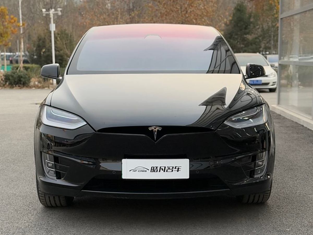 特斯拉 Model X  2019款 長續(xù)航版圖片