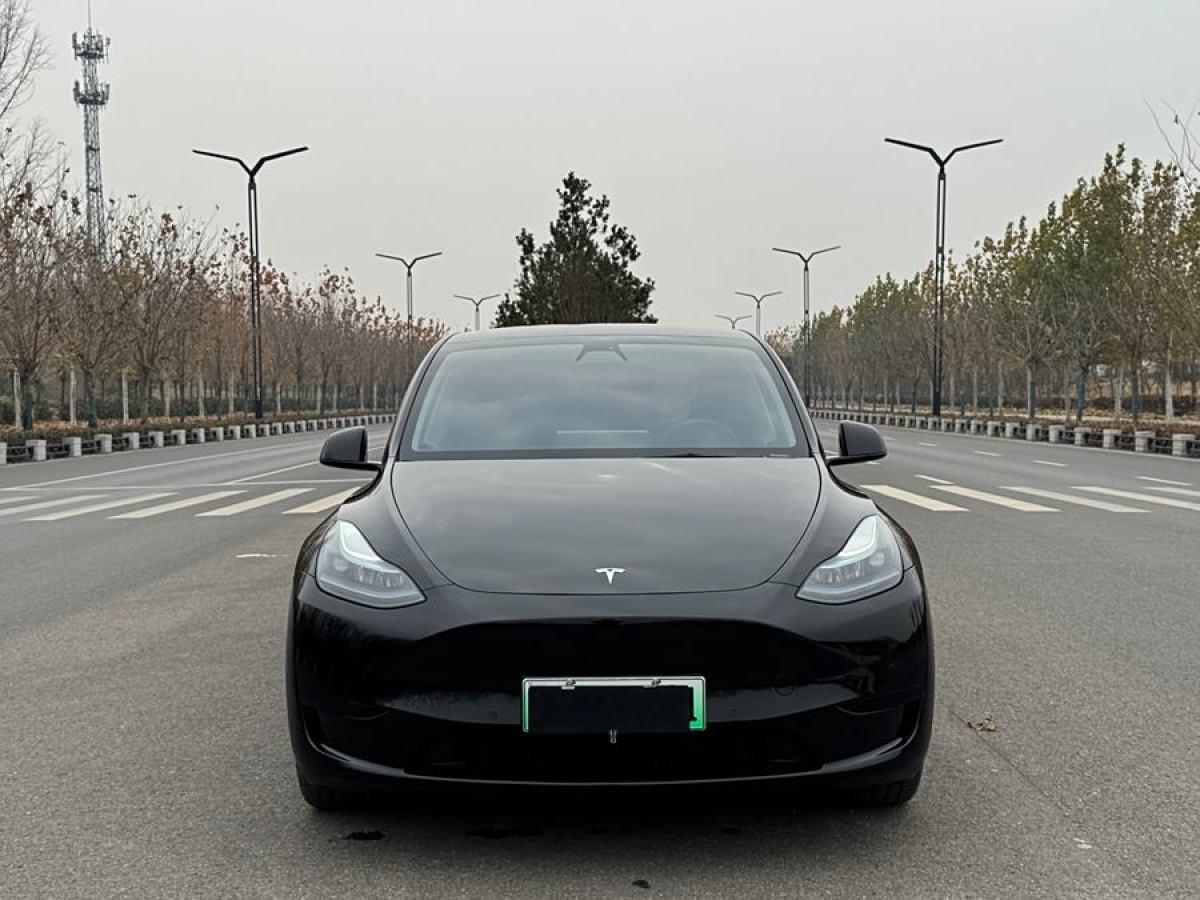 特斯拉 Model 3  2020款 改款 長(zhǎng)續(xù)航后輪驅(qū)動(dòng)版圖片