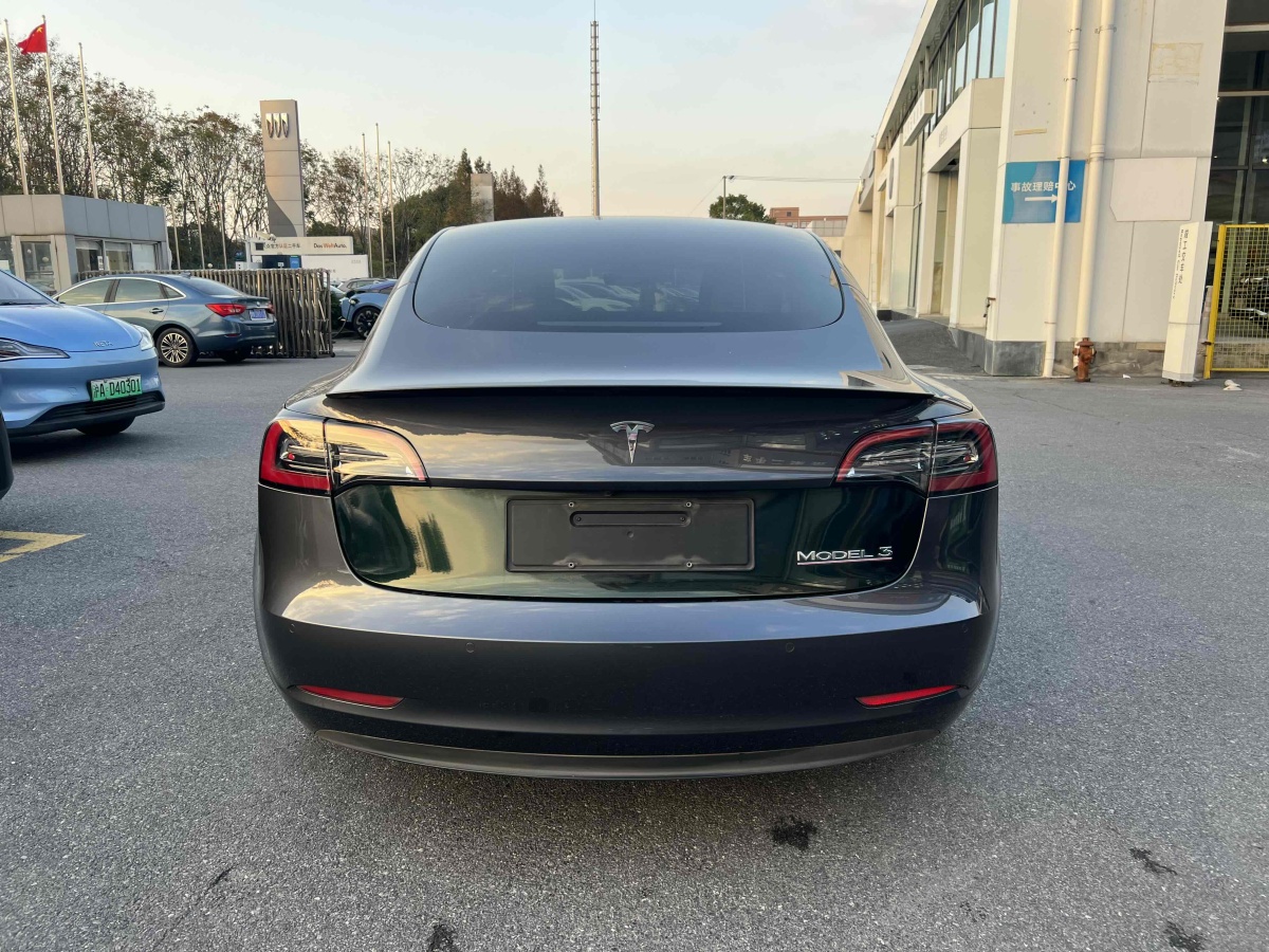 特斯拉 Model Y  2021款 Performance高性能全輪驅(qū)動(dòng)版圖片