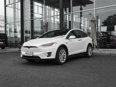 2019年8月 特斯拉 Model X Model X 100D 长续航版图片