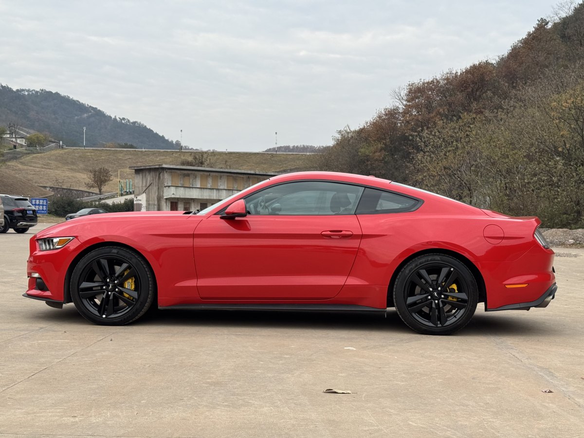 福特 Mustang  2017款 2.3T 性能版圖片