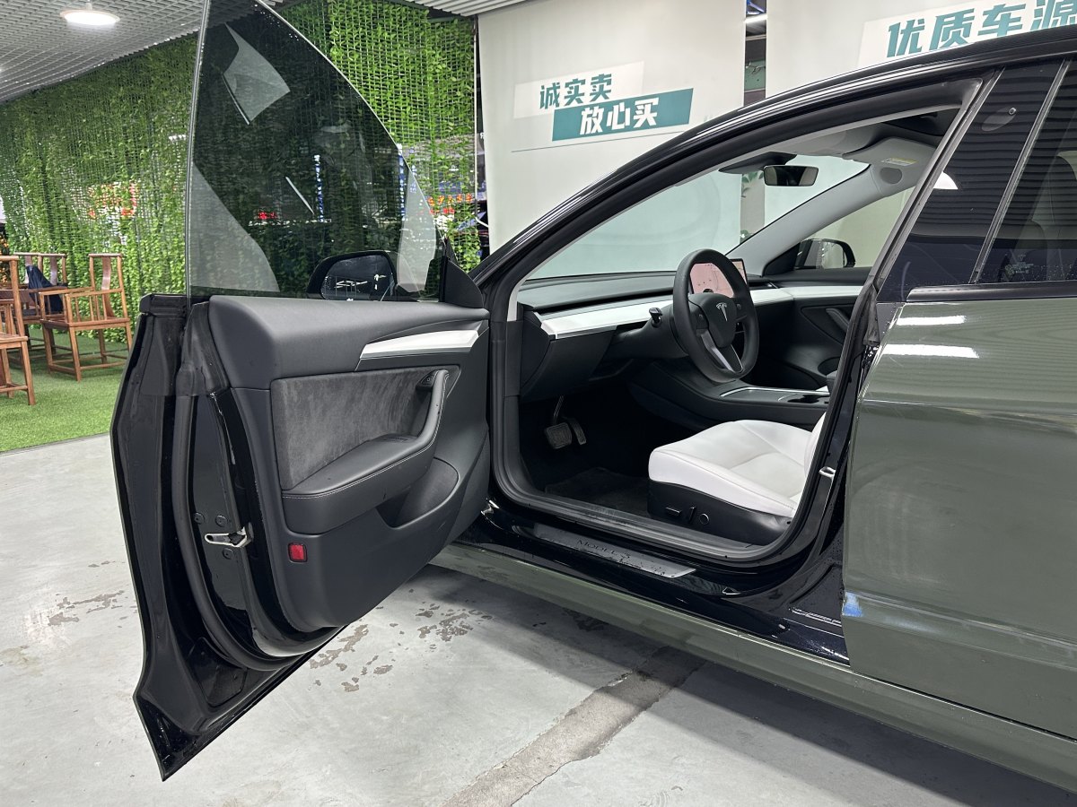 特斯拉 Model 3  2021款 標(biāo)準(zhǔn)續(xù)航后驅(qū)升級版 3D6圖片