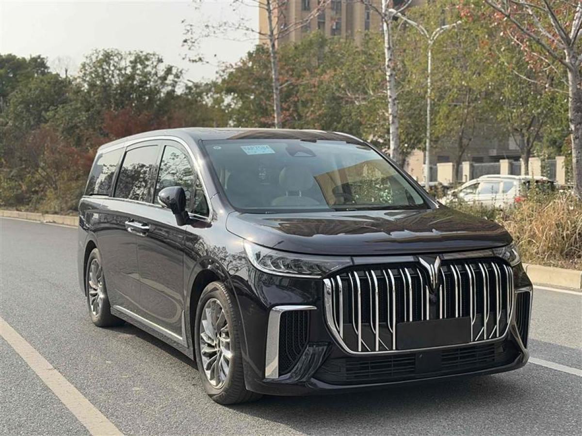 嵐圖 夢想家  2024款 PHEV 超長續(xù)航旗艦版圖片