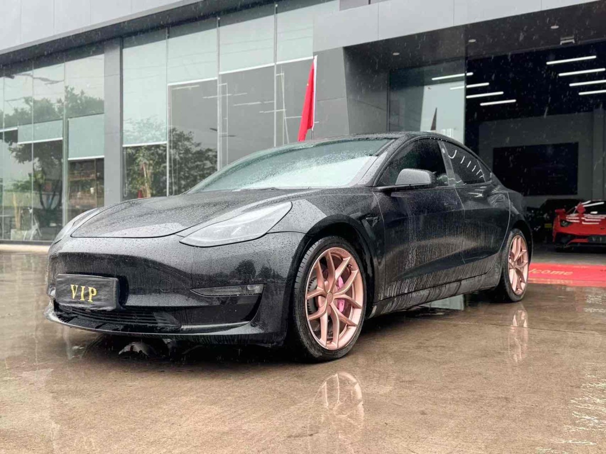 特斯拉 Model 3  2019款 Performance高性能全輪驅(qū)動(dòng)版圖片