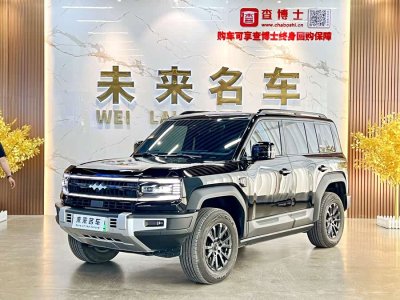 2024年10月 方程豹 豹5 領(lǐng)航版圖片