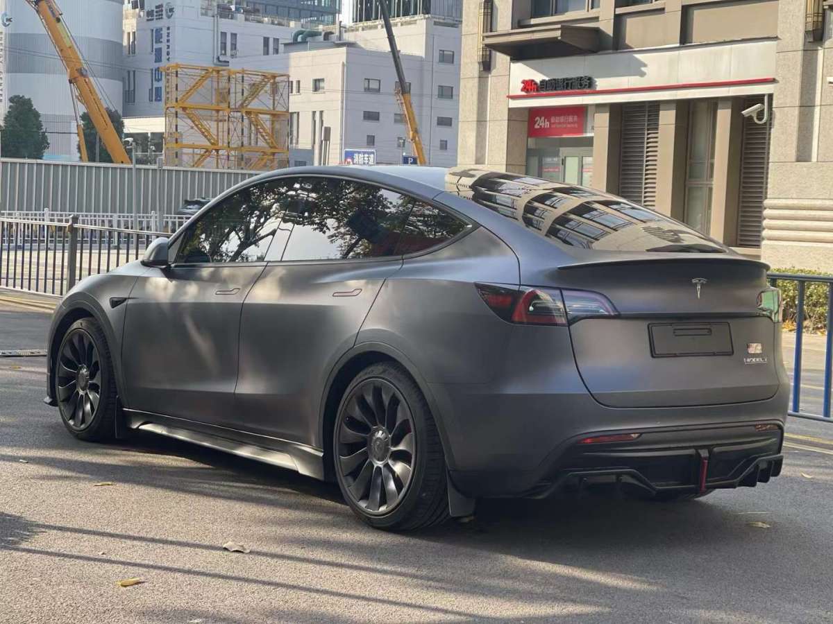 特斯拉 Model Y  2021款 Performance高性能全輪驅(qū)動版圖片