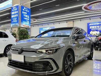 2023年10月 大眾 高爾夫 280TSI DSG R-Line 20周年紀(jì)念版圖片