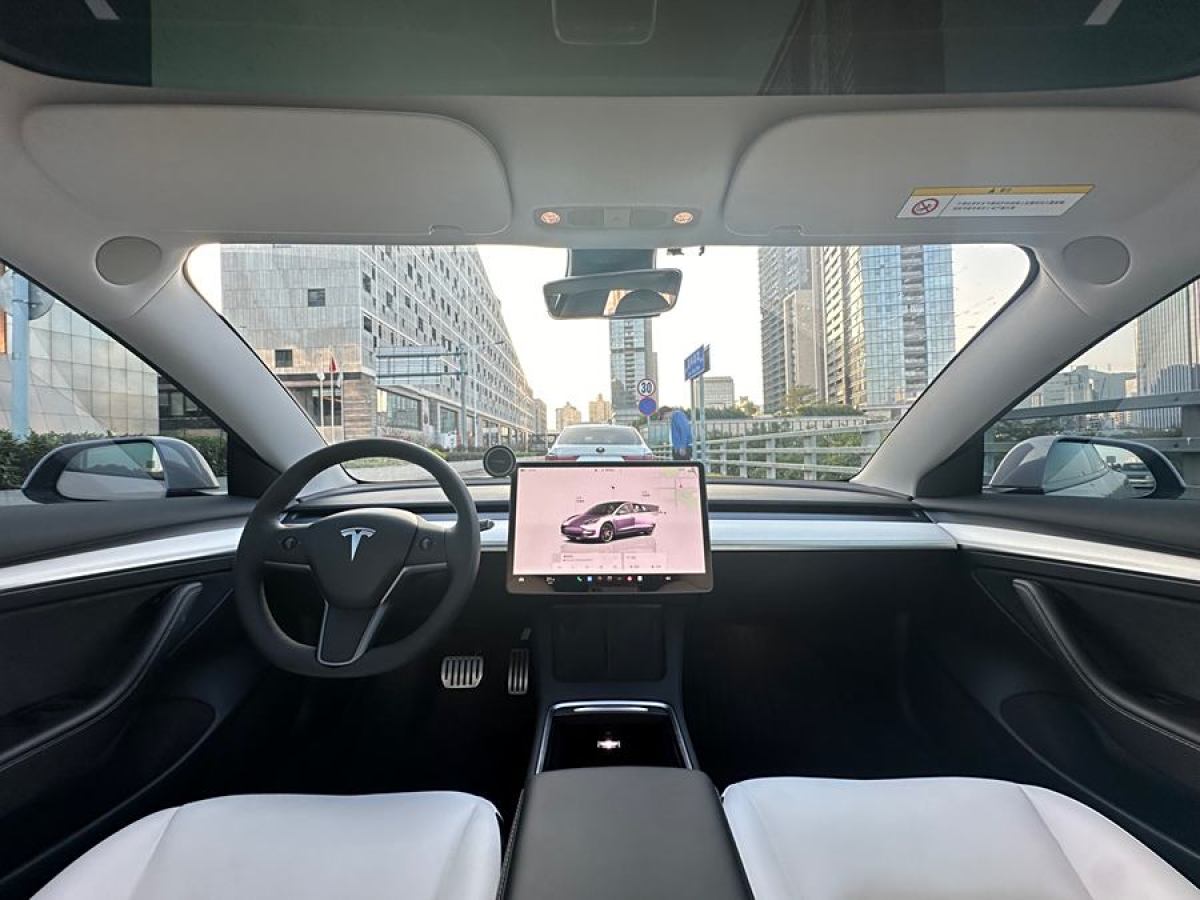 特斯拉 Model Y  2022款 Performance高性能全輪驅(qū)動版圖片