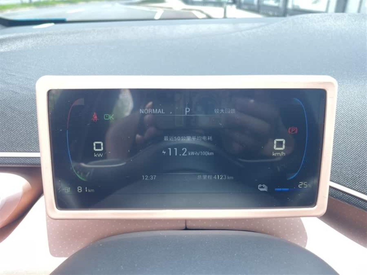 比亞迪 海鷗  2024款 榮耀版 305km 自由版圖片