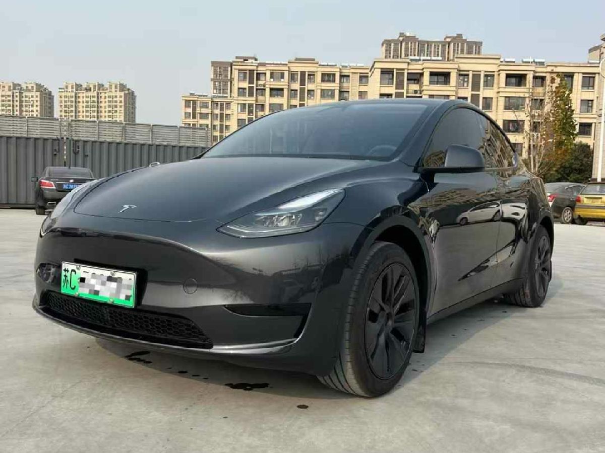 特斯拉 Model Y  2024款 Performance高性能版圖片