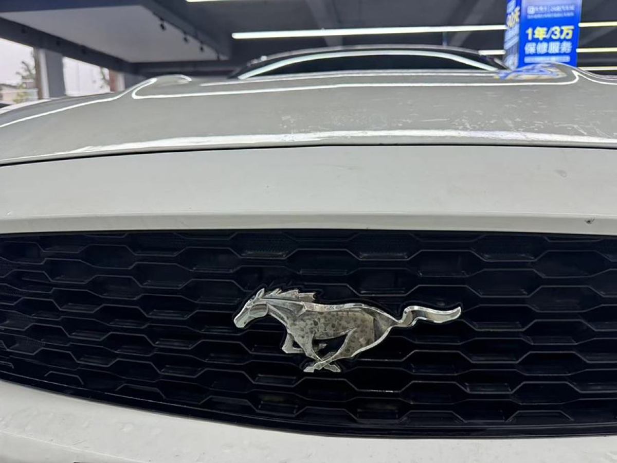 福特 Mustang  2017款 2.3T 運動版圖片